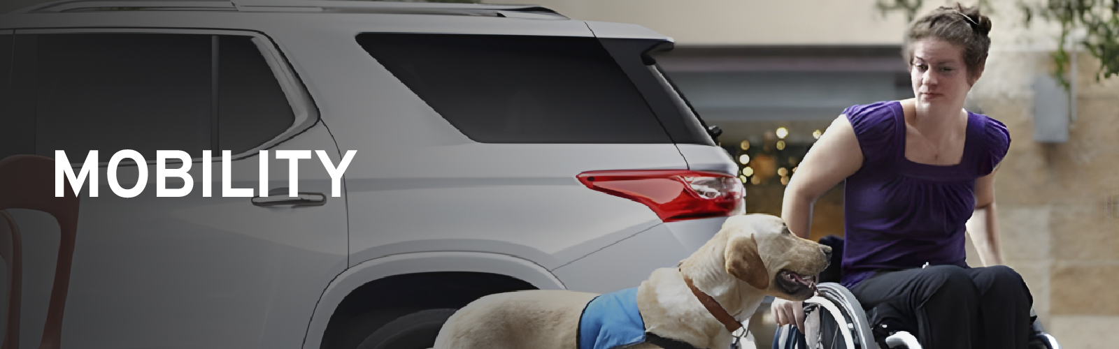 Woman in wheelchair with guide dog near vehicle, promoting mobility.