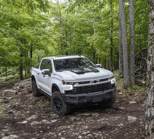 White Chevrolet pickup truck on a rugged forest trail surrounded by lush green trees.