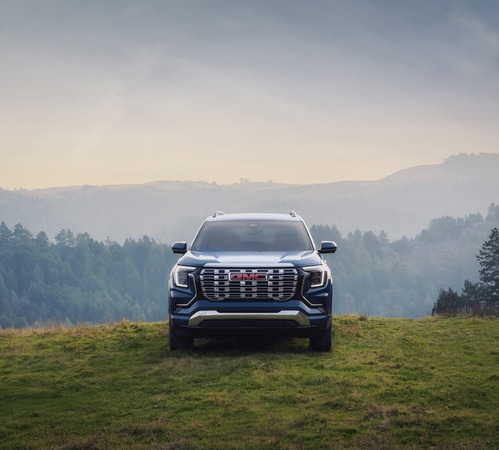 A blue SUV on a grassy hill with a forest and misty mountains in the background under a cloudy sky.