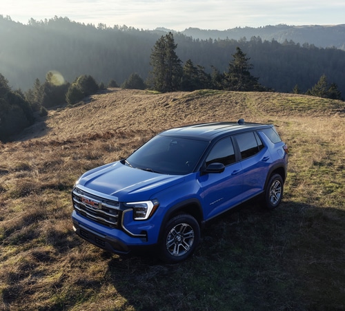 Blue SUV parked on a grassy hill with a scenic forest landscape in the background.